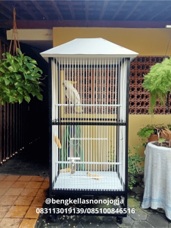 PEMBUATAN KANDANG HEWAN DI JOGJA 